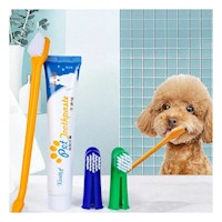 Set Practico Cuidado Dental 4 Piezas Multicolor Uso Diario Seguro Y+Papel Regalo