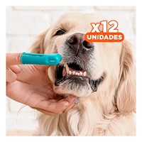 Pack12 Coleccion Completa Cuidado Dental 4 Piezas Multicolor Resistente Y+Papel Regalo