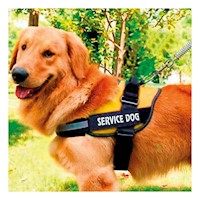 Arnes Profesional para Perro de Servicio Talla L Amarillo Y+Papel Regalo