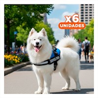 Pack6 Pechera Ajustable para Perro de Servicio Talla L Azul Y+Papel Regalo