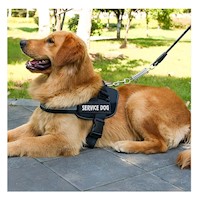 Arnes Profesional para Perro de Servicio Talla L Negro Y+Papel Regalo