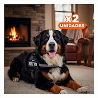 Pack2 Cinturon Profesional para Perro de Servicio Talla L Negro