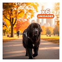 Pack6 Pechera Ajustable para Perro de Servicio Talla L Negro Y+Papel Regalo