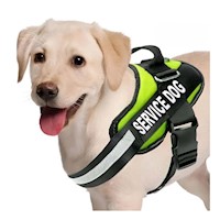 Pechera Profesional para Perro de Servicio Talla L Verde Y+Regalo Sticker