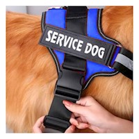 Chaleco Profesional para Perro de Servicio Talla M Azul
