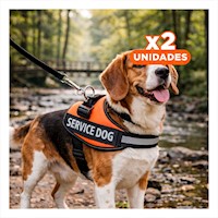 Pack2 Chaleco Pechera Service Dog Talla M Anaranjado Con Cintas Y+Papel Regalo