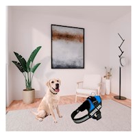 Correa de Trabajo Service Dog Talla S Azul para Perro Seguro Y+Post It