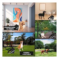 Cinturon Ajustable Service Dog Talla S Negro para Paseo Y+Ligas Regalo