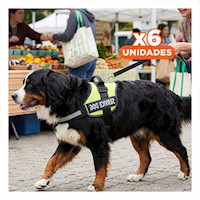 Pack6 Correa Ajustable Service Dog Talla XL Verde Paseo Diario