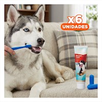 Pack6 Kit Oral Care Azul 4 Piezas para Proteccion Bucal Completa