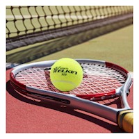 Combo 3 Pelotas de Tenis Tennis Balls para Practica en Grupo Y+Papel Regalo