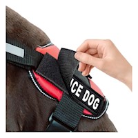 Arnes Acolchado Con Asa Superior Service Dog Talla S Rojo Y+Regalo Sticker