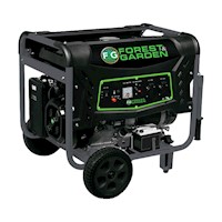 Generador Forest&Garden Motor 10 Hp GG67500/60