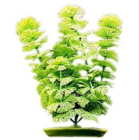 Planta De Plastico AMBULIA 15 pulgadas (38.5 cm.) Hagen