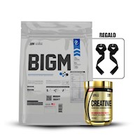 Bigm 3 Kg Chocolate+Creatina Level Pro 250GrStraps