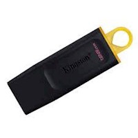 Memoria USB Kingston DTX -128GB-Exodia