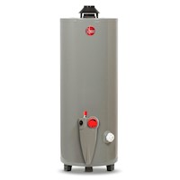Termotanque Rheem GLP Gris 76L
