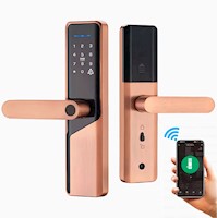 Cerradura Inteligente Chapa Smart Biometrica Digital Wifi Bronce X12