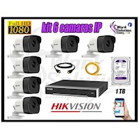 Kit 6 Cámaras de Seguridad Ip Poe Exterior Hikvision mas Disco 1Tb Wd Púrpura