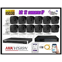 Kit 12 Cámaras de Seguridad Ip Exterior Hikvision mas Disco 1Tb Wd Púrpura