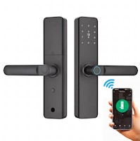 Cerradura Inteligente Smart Chapa Biométrica Wifi Negro K9