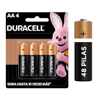 Caja de 48 unid de Pilas Alcalinas Duracell De 1,5v AA