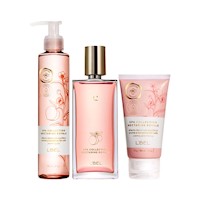 Spa Collection Nectarine Royale x3