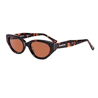 Lentes de Sol Unisex Broadway BRWNEGHUM016