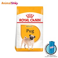 Comida De Perro Royal Canin Bhn Pug Adulto X 3 Kg