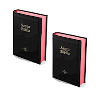 Biblia Reina Valera 1960 Letra Grande 2und