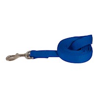 Correa de Nylon para Perros Petmate Color Azul Tamaño 1"x6'