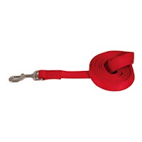 Correa de Nylon para Perros Petmate Color Rojo Tamaño 1"x4'