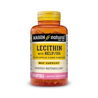 LECITINA KELP B6 (100 SOFTG)