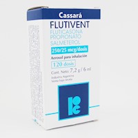 Flutivent 250 Mcg 120 Dosis - Caja 1 UN