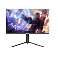 Monitor gaming TEROS TE-2474G 24.5 Pulgadas FHD VA 180Hz 1 ms HDMI DP