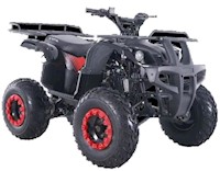 CUATRIMOTO JETTOR T-REX 150/NEGRO ROJO