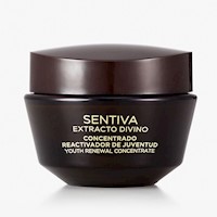 Crema Antiarrugas Concentrado Reactivador de Juventud Extracto Divino