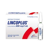 Lincoplus 600 Mg  Ampolla - Caja 5 UN