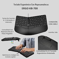 Teclado Genius Ergo  Reposa Manos Kb700 tecla Copilot Usb Español