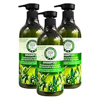 PACK 3 SHAMPOO TE VERDE 550ML WOKALI