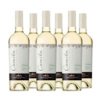 VINO NIETO SENETINER Camila Chardonnay 750 ML X 6 Bot