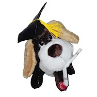 Peluche Electronico Perro Graduado 22cm Dandee