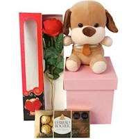 Pack Regalo San Valentín Peluche perrito con Ferrero Rocher y caja