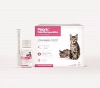 VITAMINA NUTRICIONAL PARA GATOS PETONIC CATS RECUPERATION X 55ML