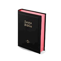 Biblia Reina Valera 1960 Letra Grande
