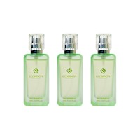 3 FRUITY PARFUM PEAR - ECORINCIA