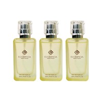 Fruity Parfum Lemon Ecorincia 20ml 3 Unidades