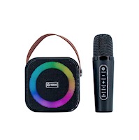 Parlante Karaoke Teros TE-6013N Inalámbrico Bluetooth 5.4 10W con USB y Luces