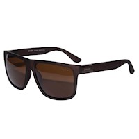 Lentes De Sol Polarizado Hombre Gzh001 Zanetty - 1024156