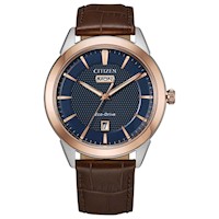 Reloj Citizen Para Hombre AW0096-06L